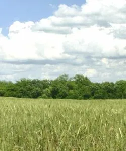 A beautiful view of Oklahoma