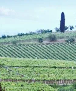 A beautiful view of Veneto