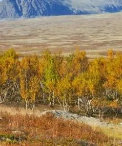 A beautiful view of Rondane
