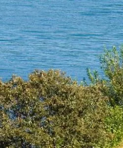 A beautiful view of Gotland