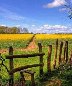 A beautiful view of Kent Downs.
