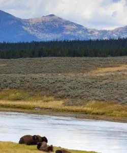 A beautiful view of Yellowstone National Park-West Gate