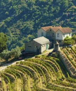 Uma bela vista de Douro
