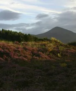 A beautiful view of Down County.