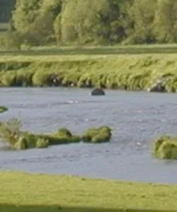 A beautiful view of Wexford County