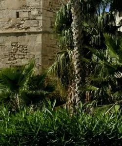 A beautiful view of Sfax