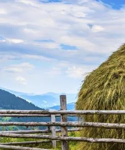 A beautiful view of Bukovina