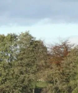 A beautiful view of Cheshire
