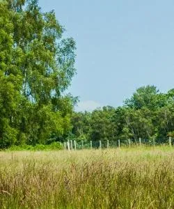 A beautiful view of High Weald