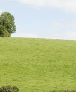 A beautiful view of Cavan County