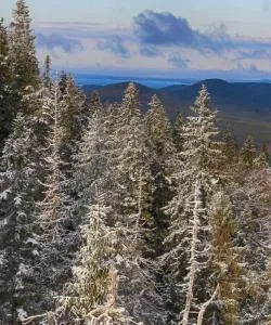 A beautiful view of North Karelia