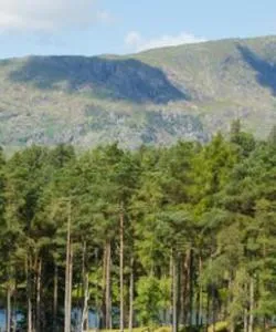 A beautiful view of National Forest