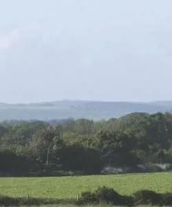 A beautiful view of West Sussex