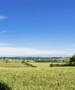 A beautiful view of Bedfordshire