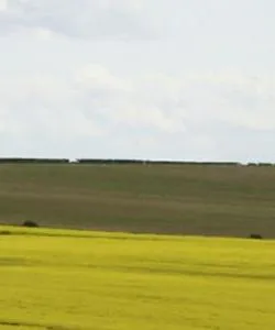 A beautiful view of Lincolnshire