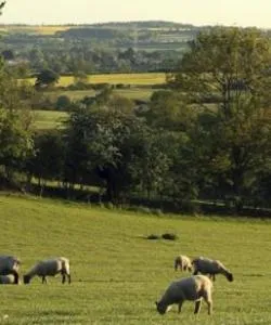 A beautiful view of Northamptonshire