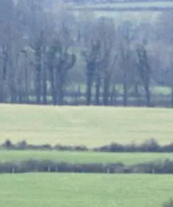A beautiful view of Tipperary County