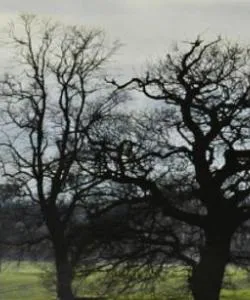 A beautiful view of South Yorkshire.