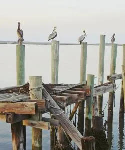 A beautiful view of Jacksonville Coast.