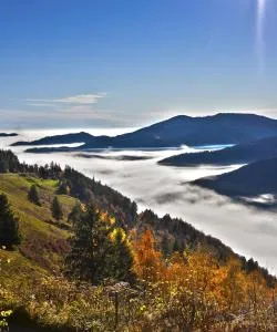A beautiful view of Massif des Vosges