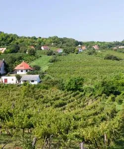 A beautiful view of Tolna.
