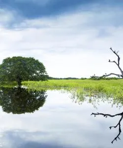 A beautiful view of Mato Grosso