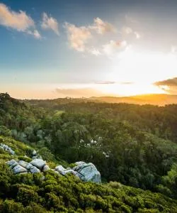 Uma bela vista de Parque Natural de Sintra-Cascais