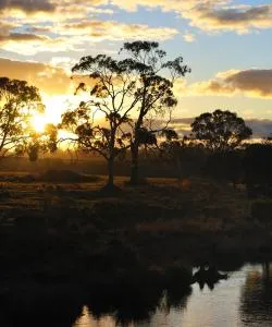 A beautiful view of Riverina