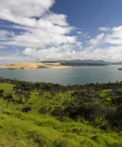 A beautiful view of Northland