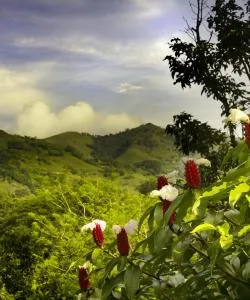 A beautiful view of Heredia