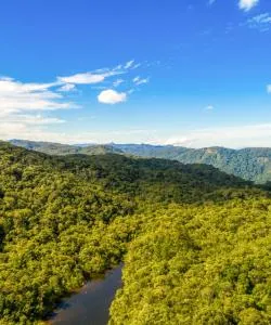 A beautiful view of Tamaulipas.