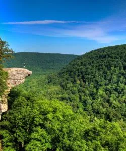 A beautiful view of Ozarks.