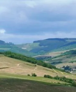 A beautiful view of Beaujolais.
