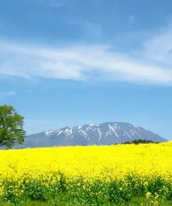 A beautiful view of Iwate