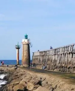 A beautiful view of Landes