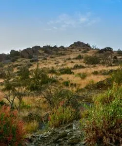 A beautiful view of Al Baha Province