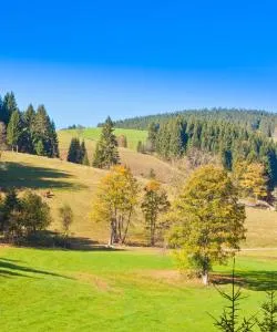 A beautiful view of Swabian Forest