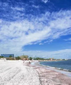 A beautiful view of Mamaia Area.