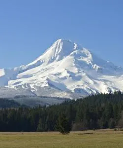 A beautiful view of Mount Hood.
