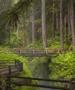 A beautiful view of Olympic National Park.