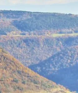 A beautiful view of Ain