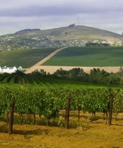 A beautiful view of Cape Town Northern Suburbs.