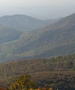 A beautiful view of Virginia