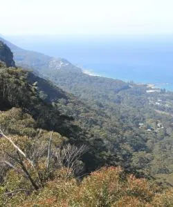 A beautiful view of Illawarra Region
