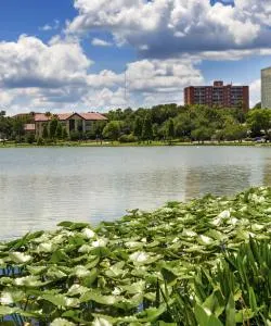 A beautiful view of Lakeland - Winter Haven.