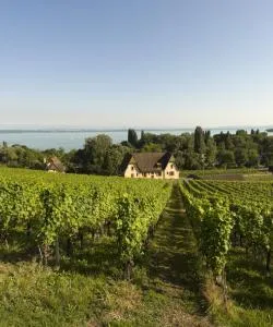 A beautiful view of Lake Neuchatel.