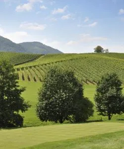 A beautiful view of Styria