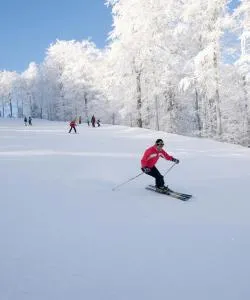 A beautiful view of Shawnee Mountain.