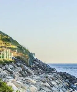 A beautiful view of The Hamptons