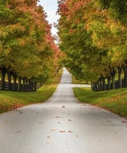 A beautiful view of Kentucky